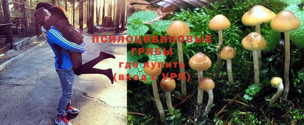 спайс Арсеньев