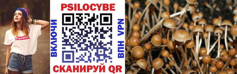 Галлюциногенные грибы Psilocybine cubensis  цена   ОМГ ОМГ сайт  Сургут 